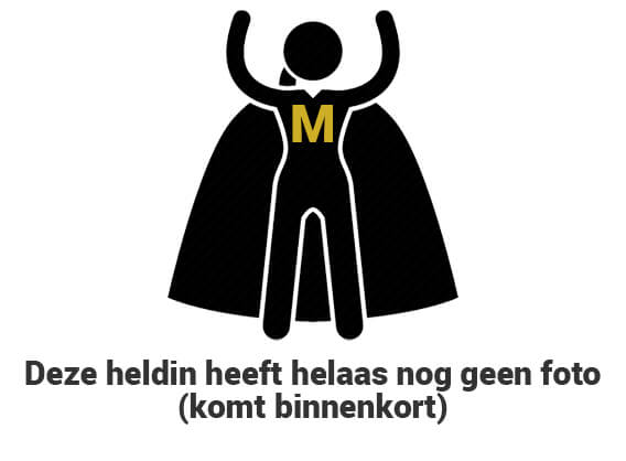Meesterwerk-profile-V